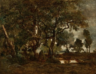 Bosque de Fontainebleau, grupo de árboles altos con vista a la llanura de Clair-Bois en el borde de Barbizon de Pierre Etienne Theodore Rousseau